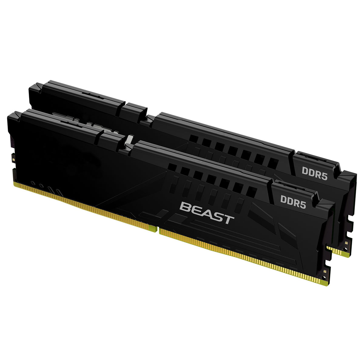 Beast Vengeance DDR5 16GB 32GB 64GB 48G 16G*2 32G*2 24G*2 32G*2 CL30 CL32 CL34 CL36 CL38 CL40 6400 6600 6800 8400 RGB Memory Ram