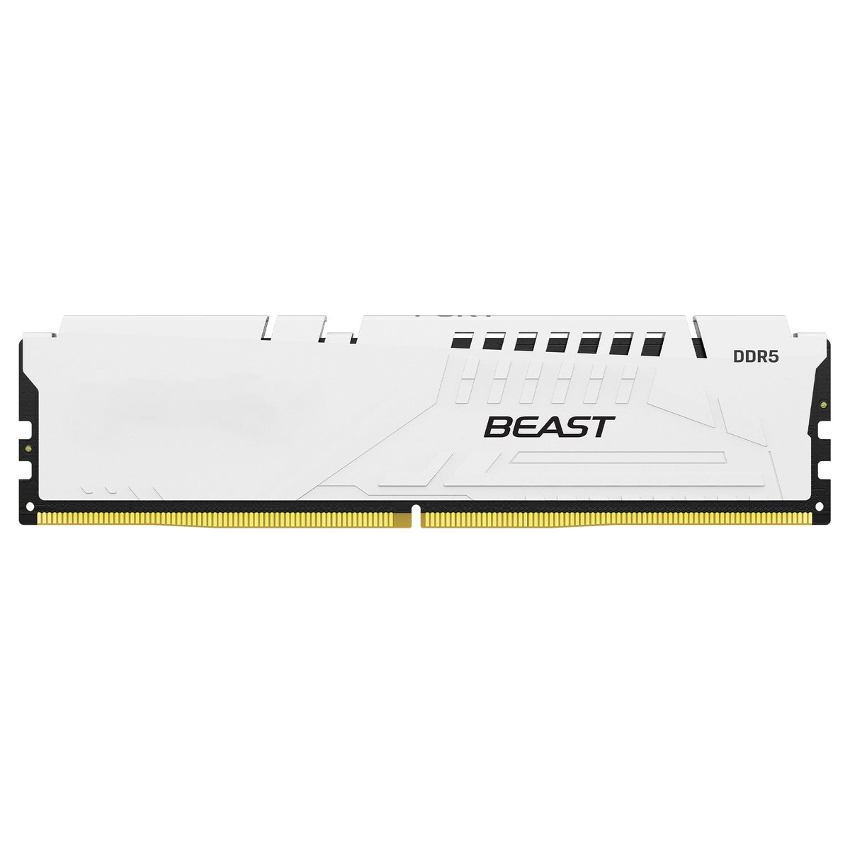 Beast Vengeance DDR5 16GB 32GB 64GB 48G 16G*2 32G*2 24G*2 32G*2 CL30 CL32 CL34 CL36 CL38 CL40 6400 6600 6800 8400 RGB Memory Ram